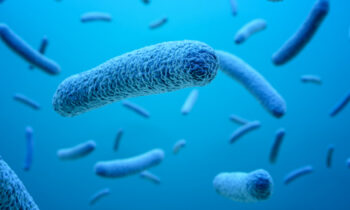 oral microbiome