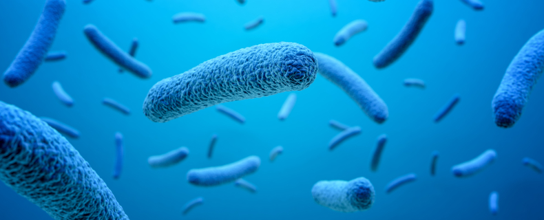 oral microbiome