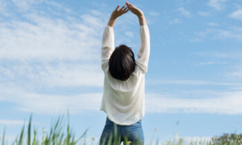 what is holistic dentistry