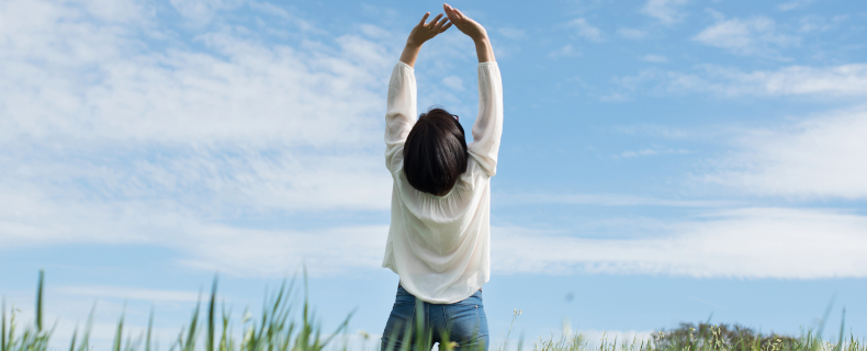 what is holistic dentistry